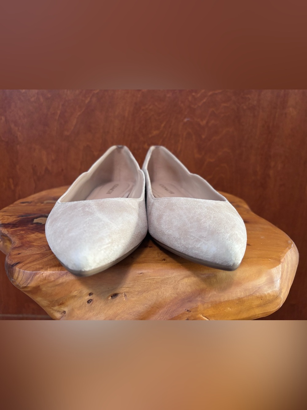 COACH Pointed Toe Suede Flats - Nude/Light Beige, GUC - Picture 8 of 14